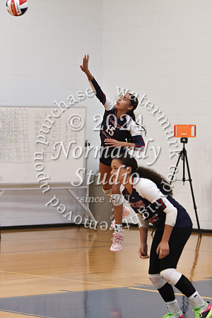 MSM_vb-g_11
