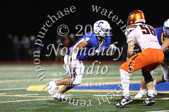 CHS_fb_32