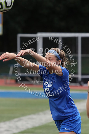 CHS_010_so-g