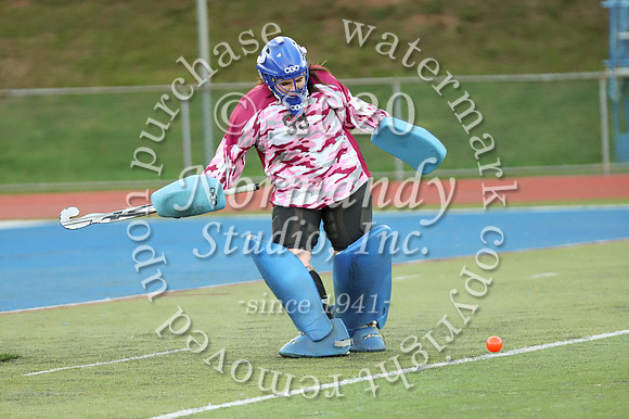 CHS_009_fh