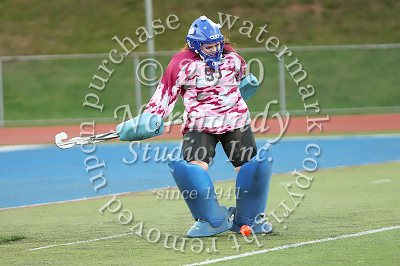 CHS_008_fh