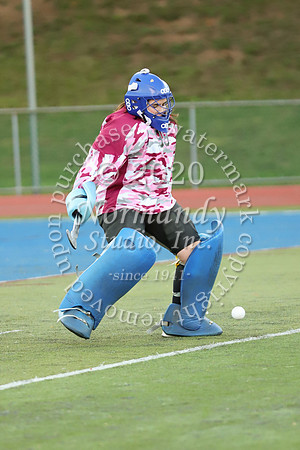 CHS_006_fh