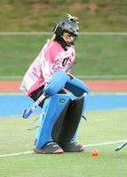 CHS_003_fh