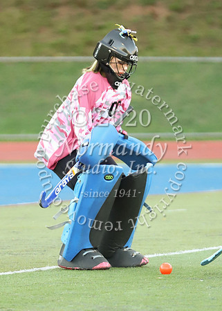 CHS_003_fh