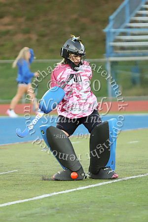 CHS_005_fh