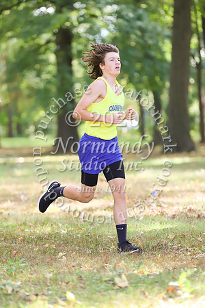 CHS_040_cc-b