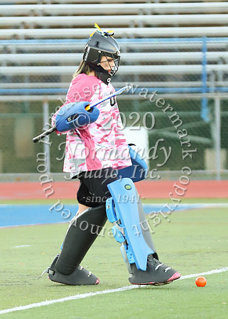 CHS_001_fh