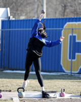 CHS_002_wt-g