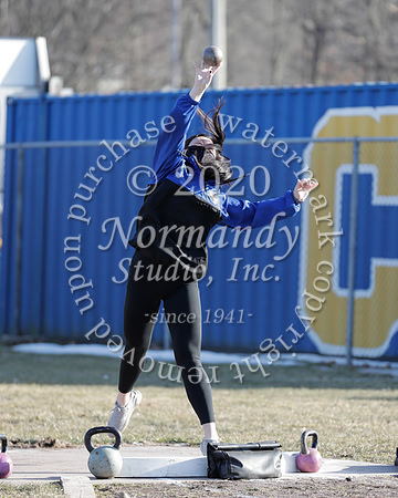 CHS_002_wt-g