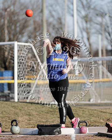 CHS_014_wt-g