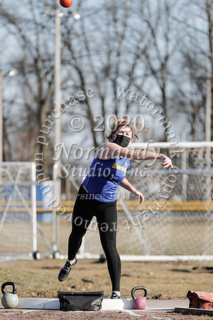 CHS_022_wt-g