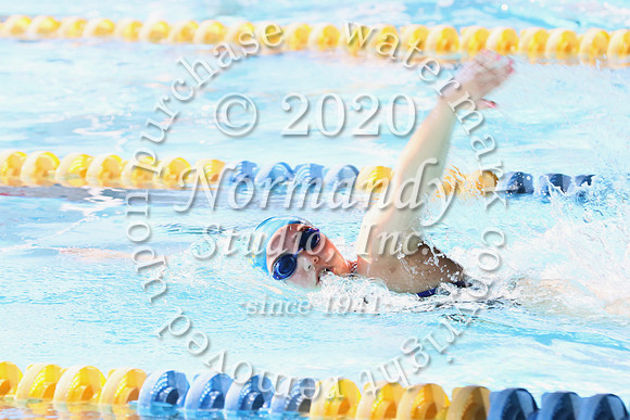 CHS_019_sw-g