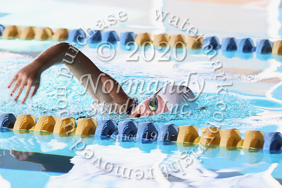 CHS_054_sw-g
