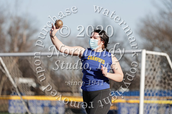 CHS_036_wt-g