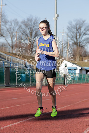 CHS_066_wt-g