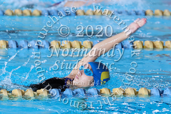 CHS_011_sw-g