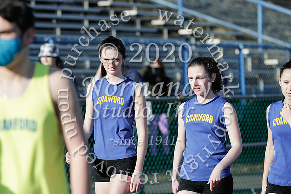 CHS_038_wt-g