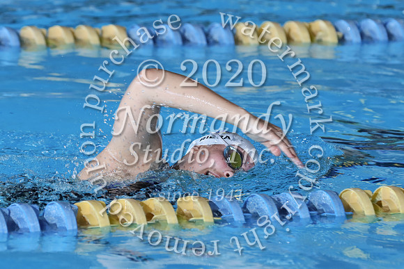 CHS_010_sw-g
