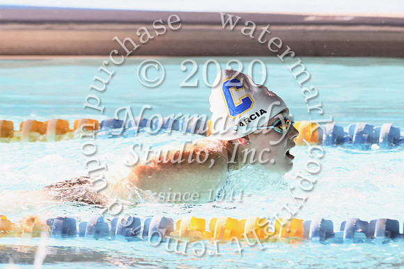 CHS_065_sw-g