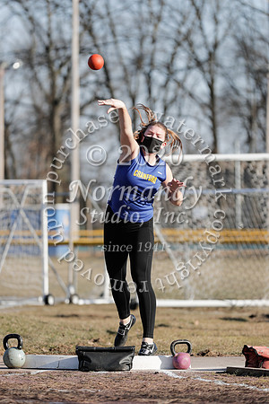 CHS_020_wt-g