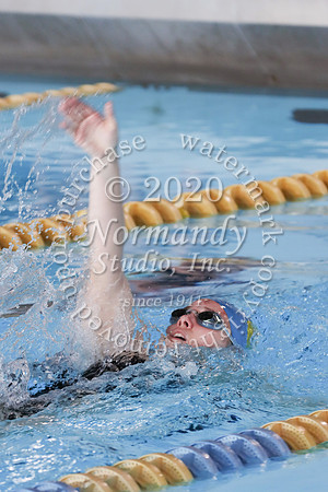 CHS_062_sw-g