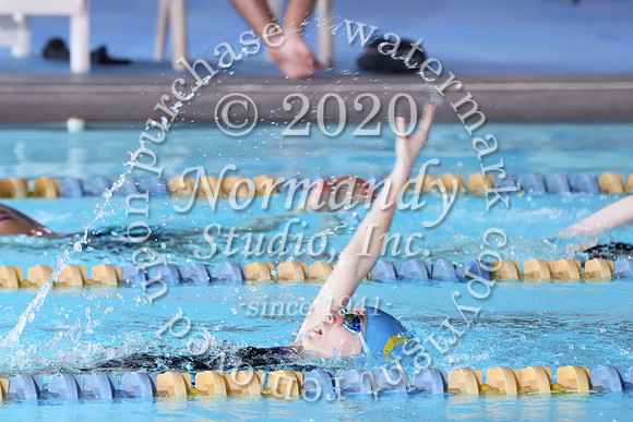 CHS_046_sw-g