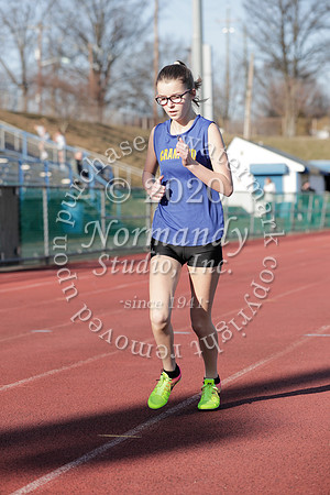 CHS_049_wt-g