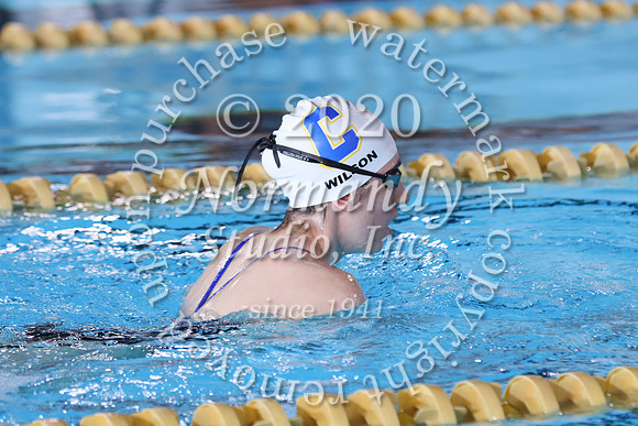 CHS_057_sw-g