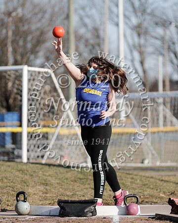 CHS_013_wt-g