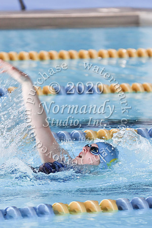 CHS_060_sw-g