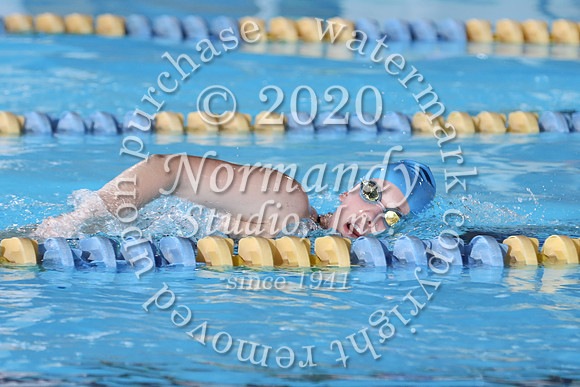 CHS_033_sw-g
