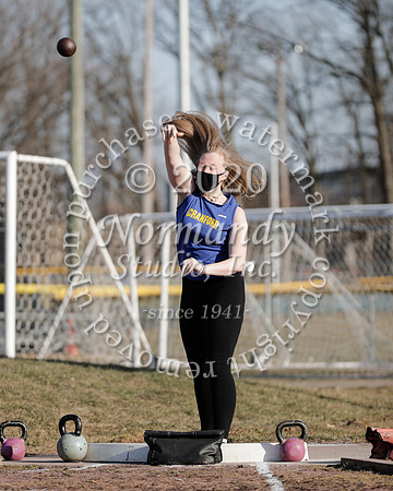 CHS_006_wt-g
