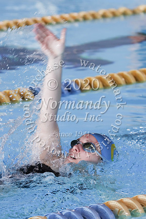 CHS_061_sw-g
