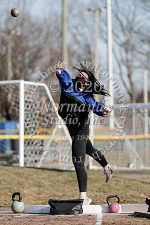 CHS_010_wt-g