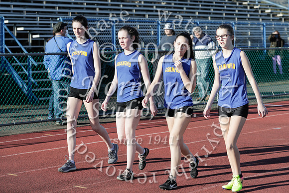 CHS_039_wt-g