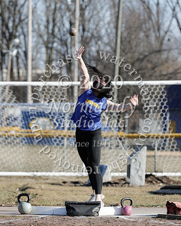 CHS_023_wt-g