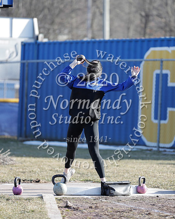 CHS_001_wt-g