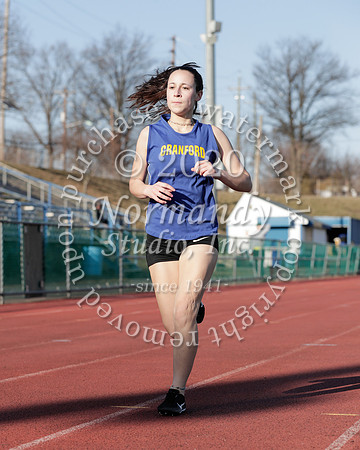 CHS_060_wt-g