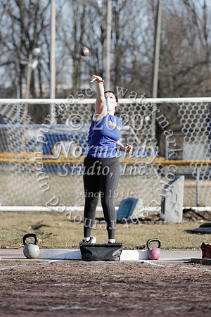 CHS_031_wt-g