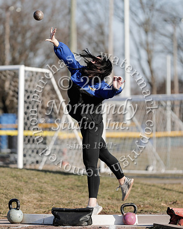 CHS_009_wt-g
