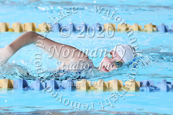 CHS_016_sw-g