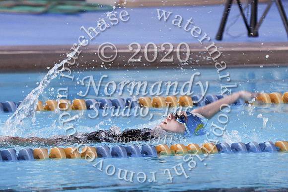 CHS_063_sw-g