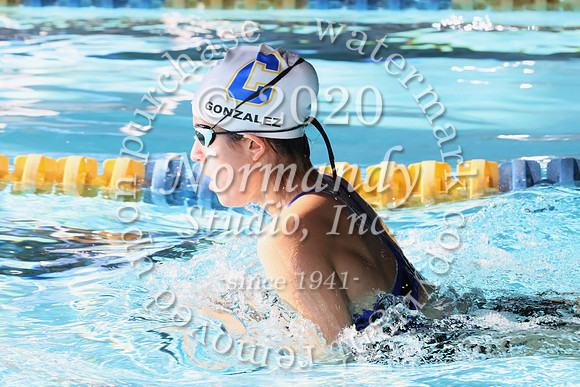 CHS_044_sw-g