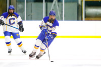 ICE HOCKEY