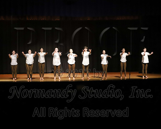 CHS_065_opg