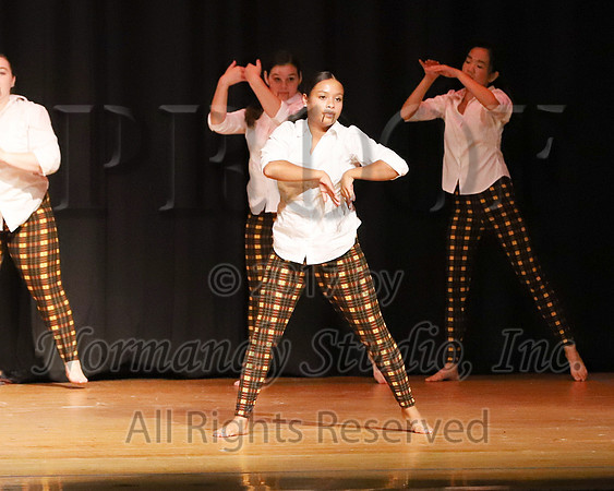 CHS_060_opg