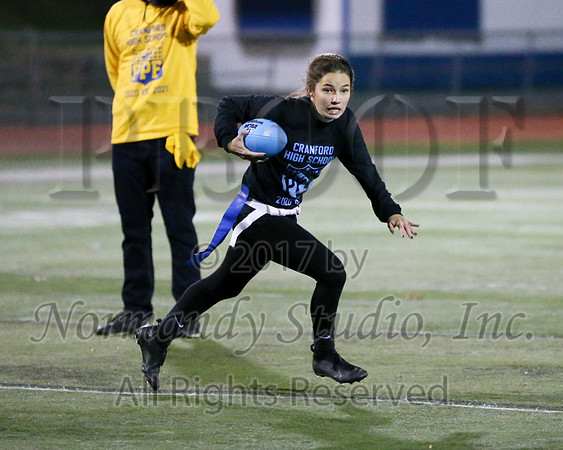 CHS_033_ppf