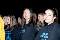 CHS_017_ppf