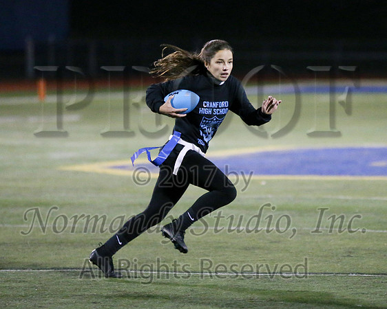 CHS_034_ppf