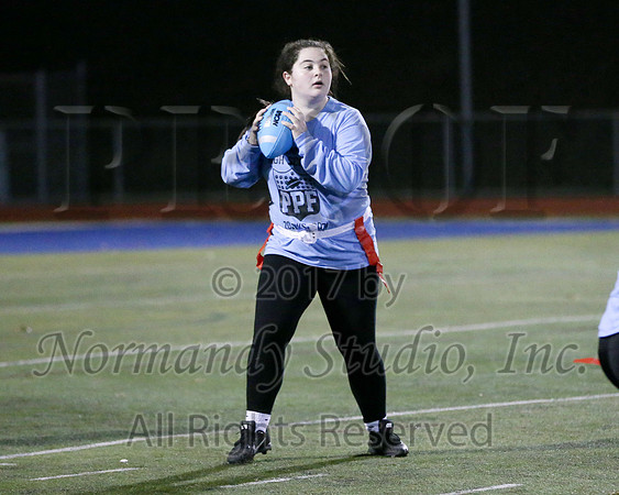 CHS_066_ppf
